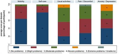 Burden of illness in people with medically refractory epilepsy who suffer from daily to weekly seizures: 12-month follow-up of participants in the EPISODE study